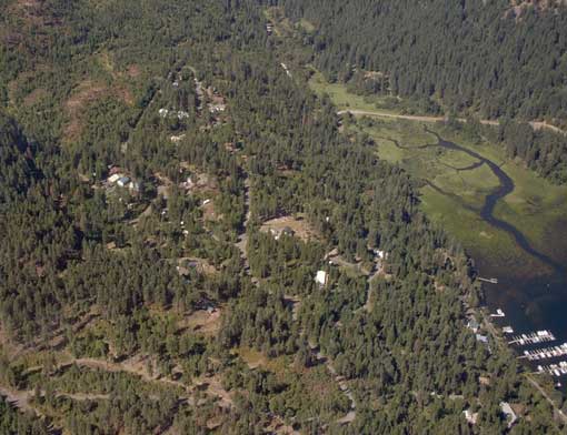Aerial view of our neighborhood